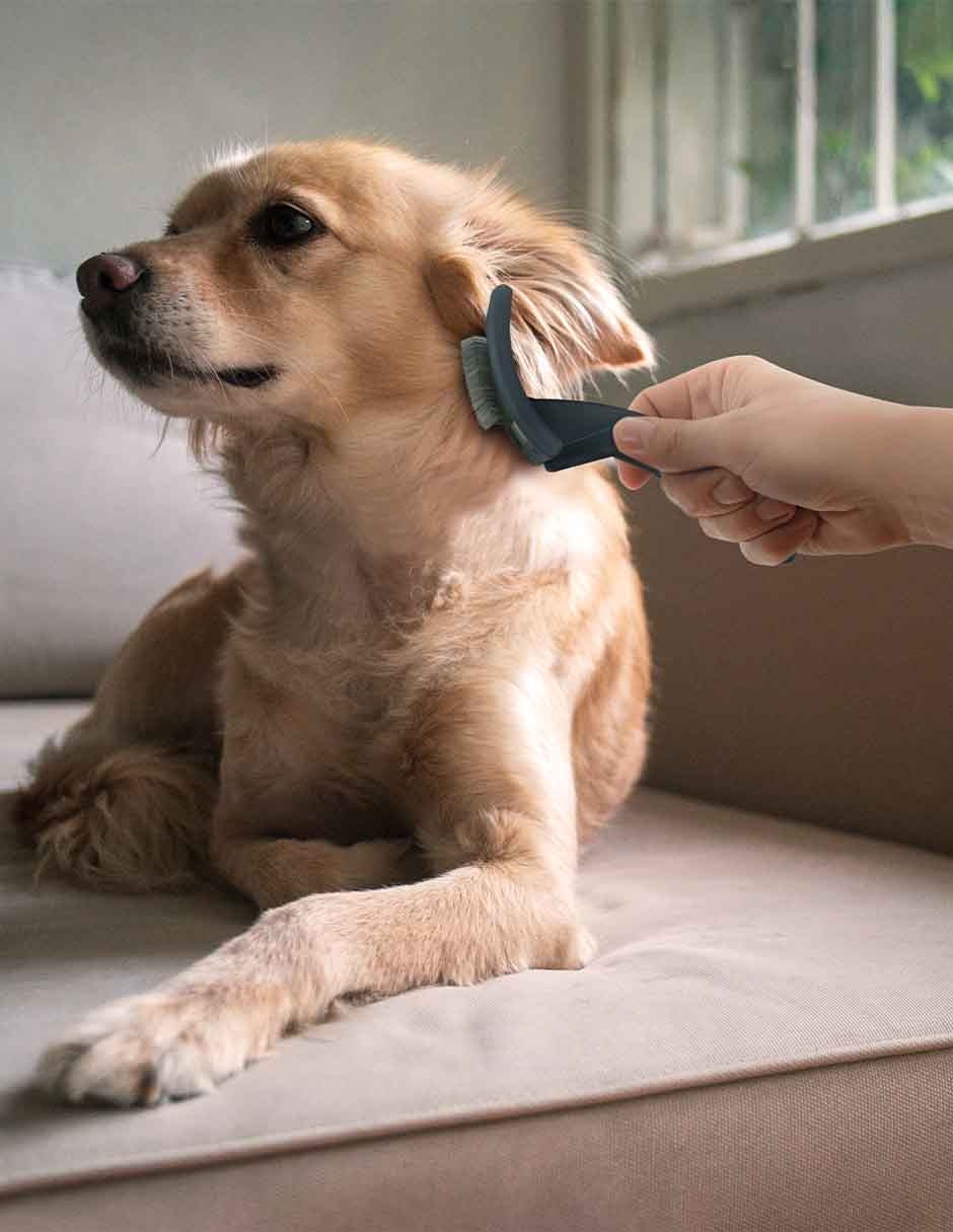 Carda de Plástico para Perro 3