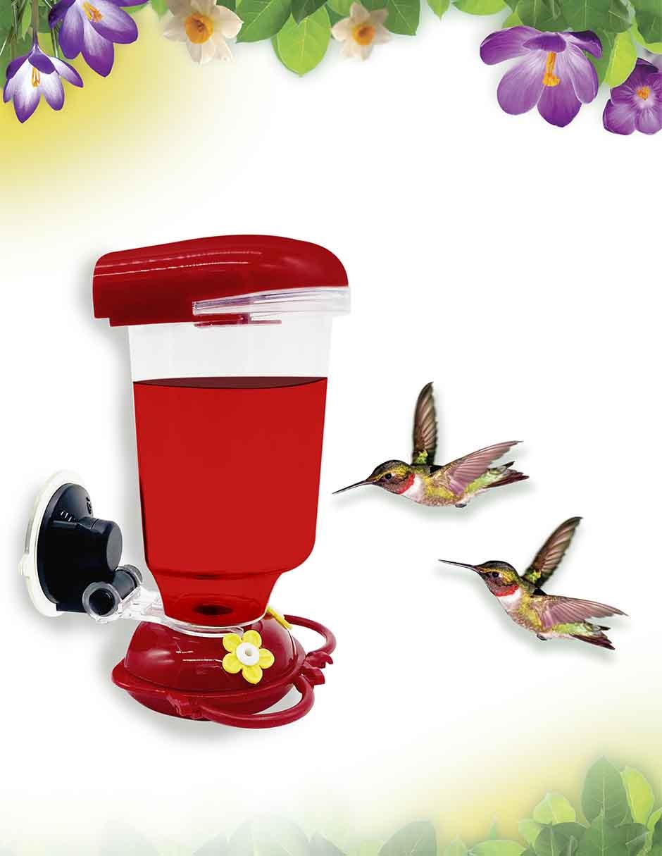 Bebedero Transparente para Colibri REDKITE 3