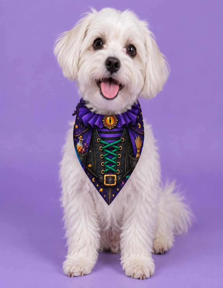 Pañuelo para Perro y gato halloween 3