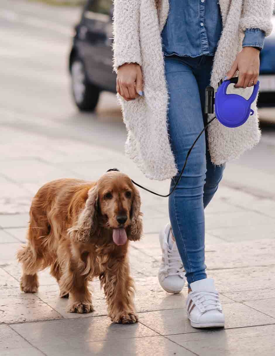 Correa de Plástico para Perro 4