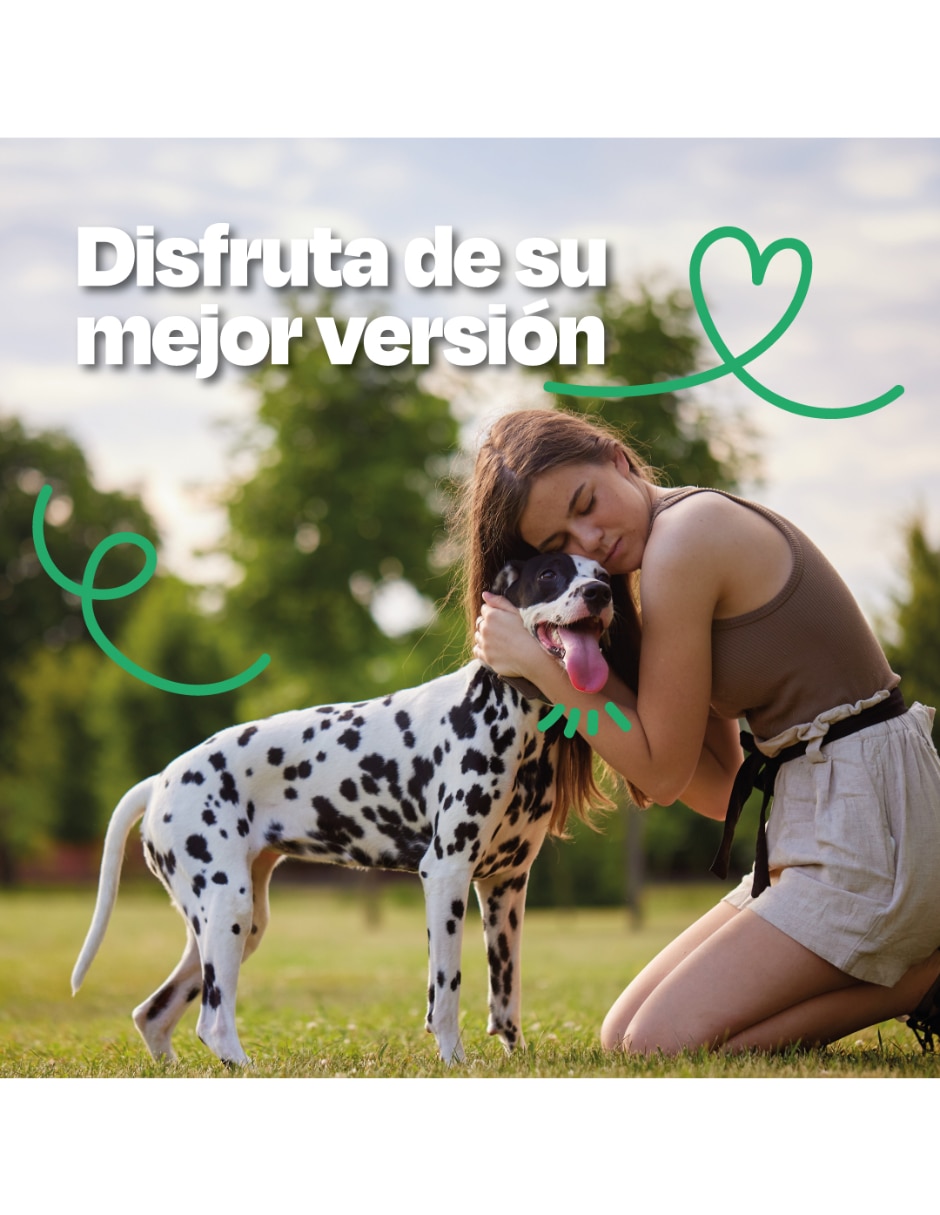 Probiótico para mascota Probiótico 8