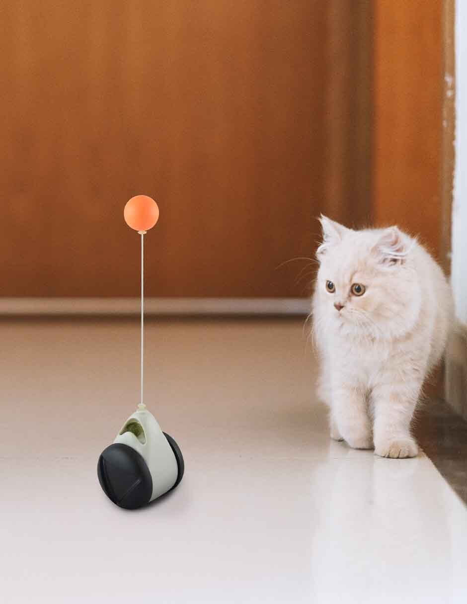 Juguete para Gato No aplica 4