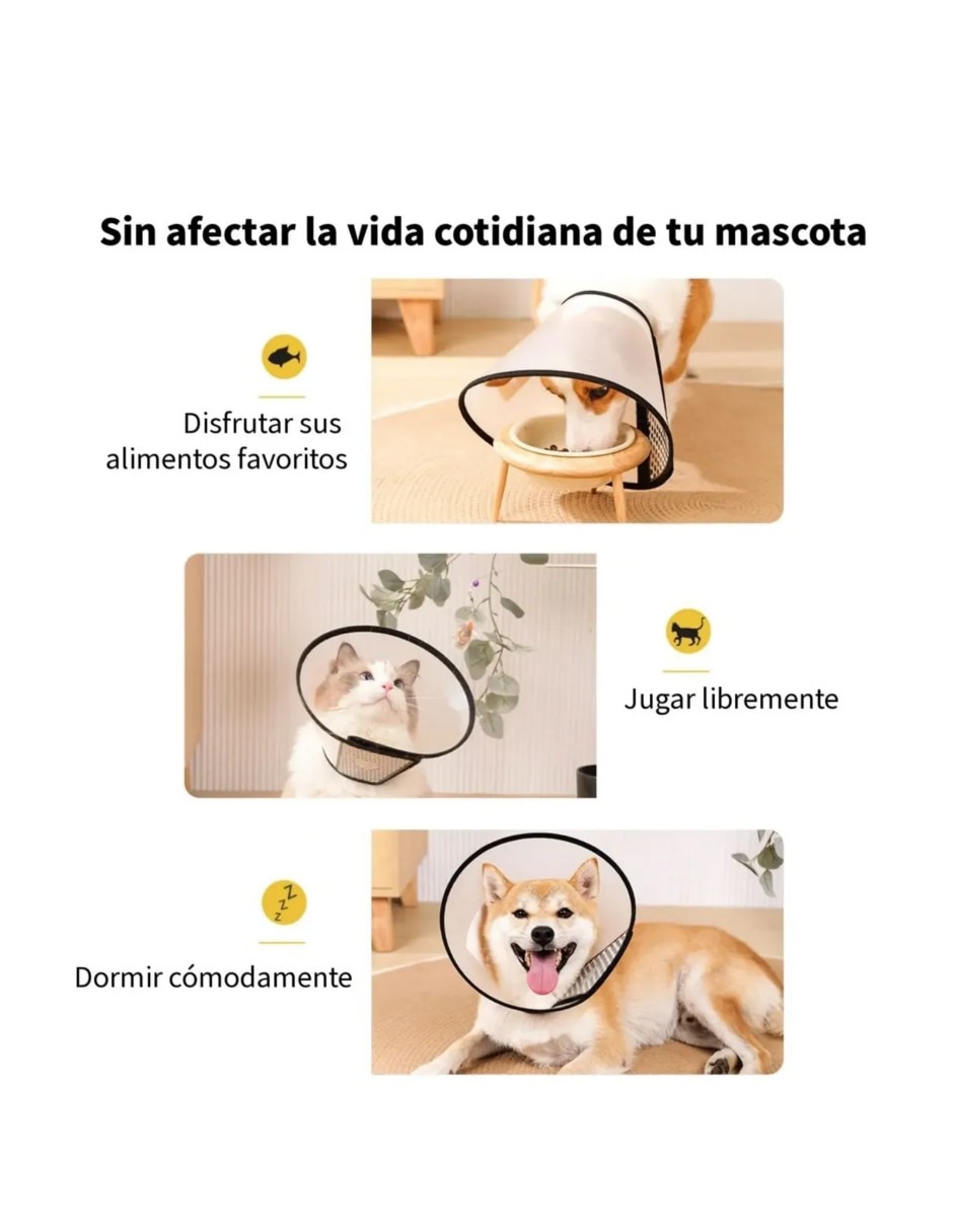 Collar de Nylon para Perro y gato 4