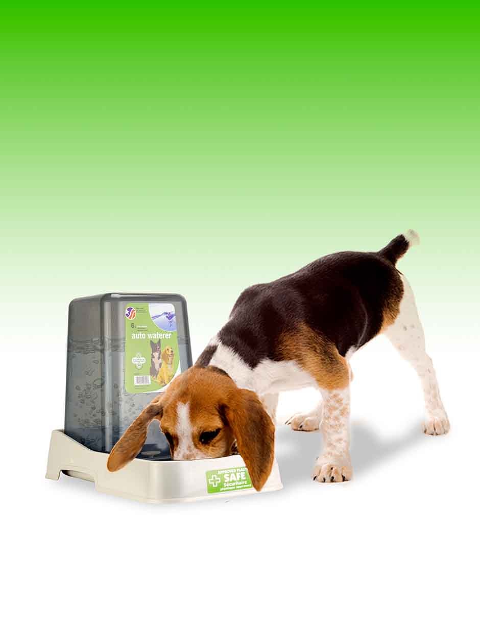 Bebedero Transparente para Perro 4