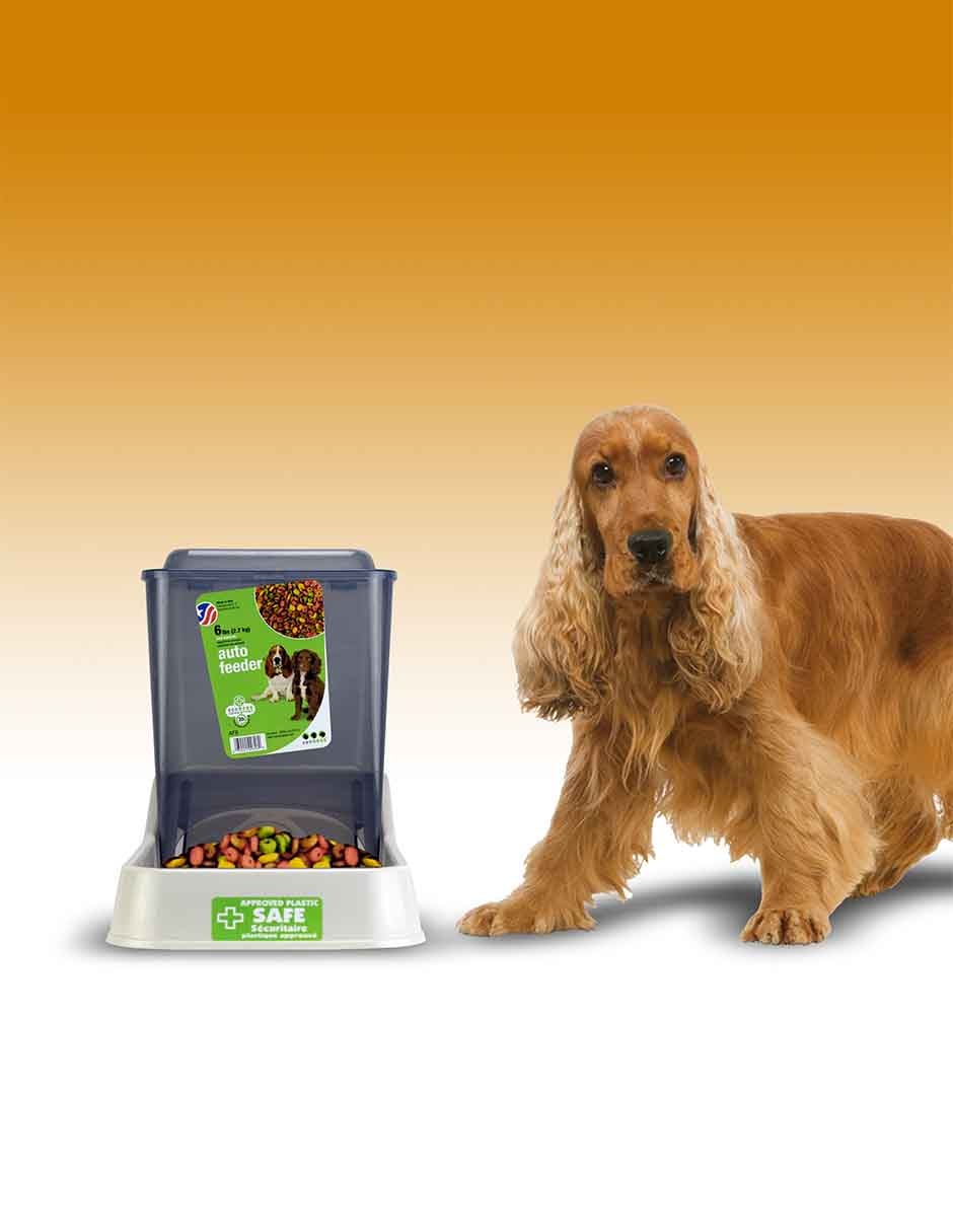 Plato/Comedero para Perro 2