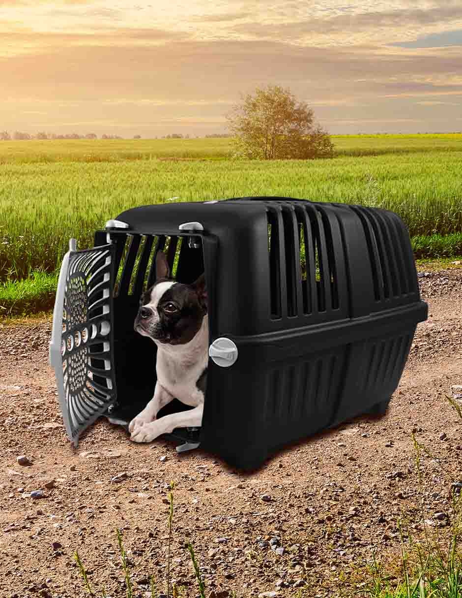 Transportadora para Perro de Plástico 3