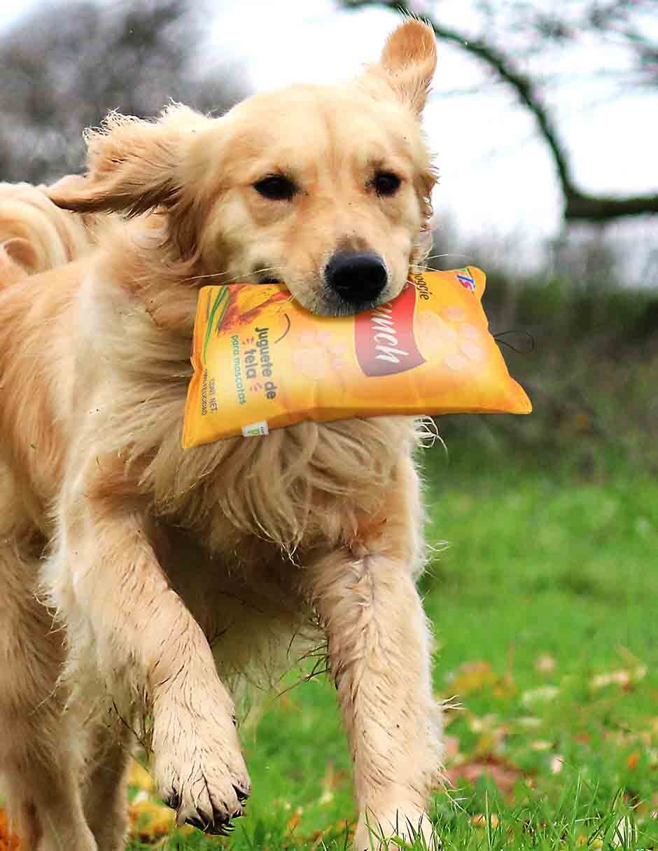 Juguete para Perro No aplica 3