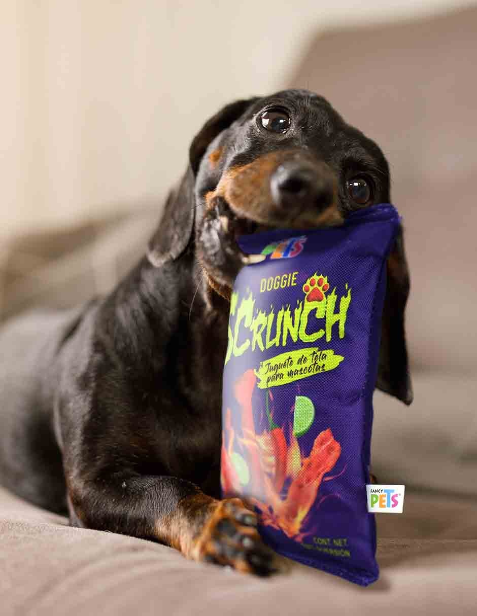 Juguete interactivo para Perro No aplica 3