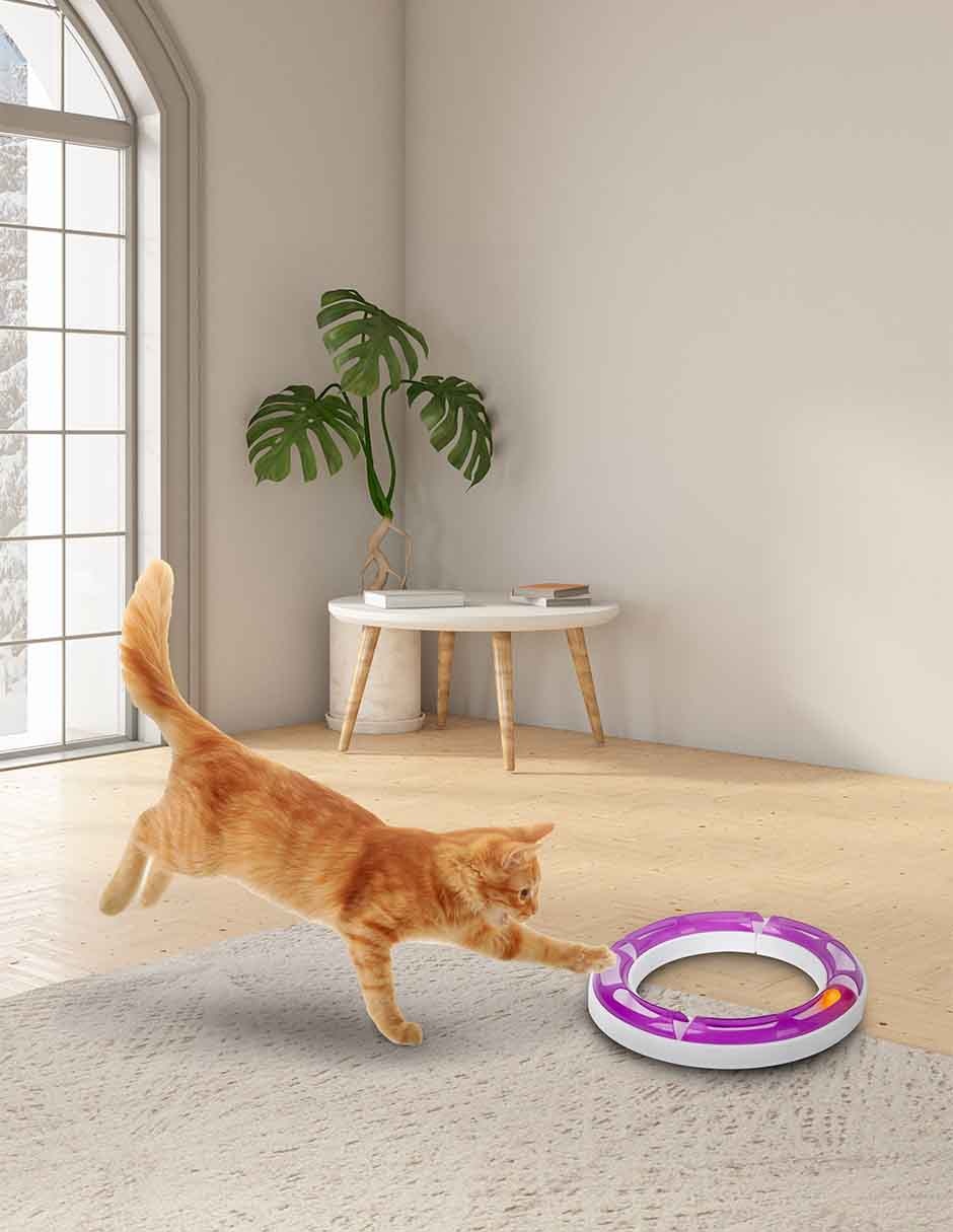Juguete interactivo para Gato No aplica 4
