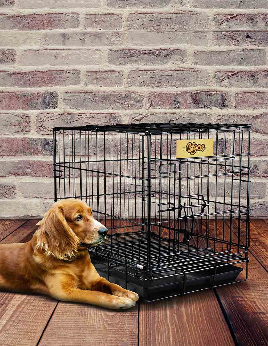Jaula para Perro de Acero 3