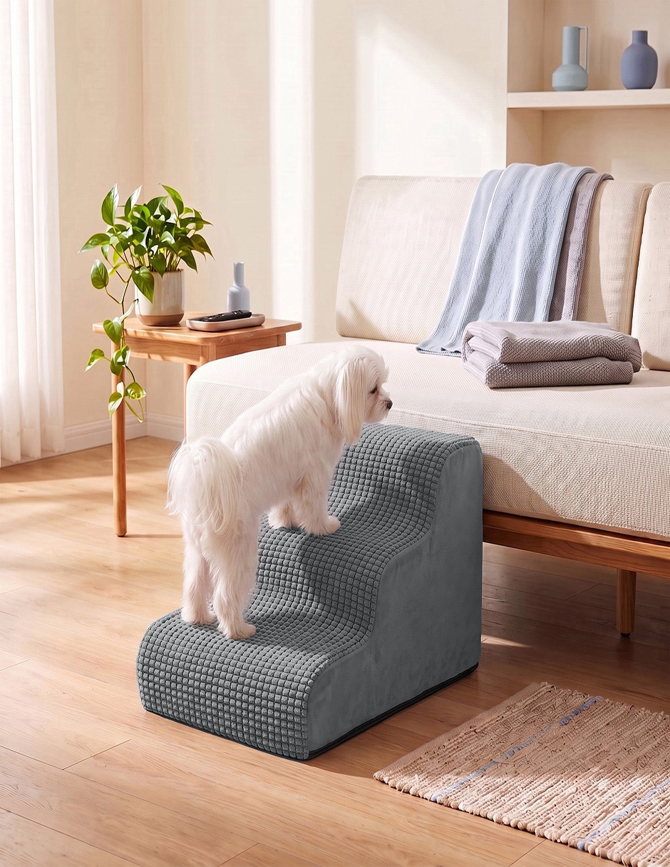 Rampa para mascota para Perro y gato 3