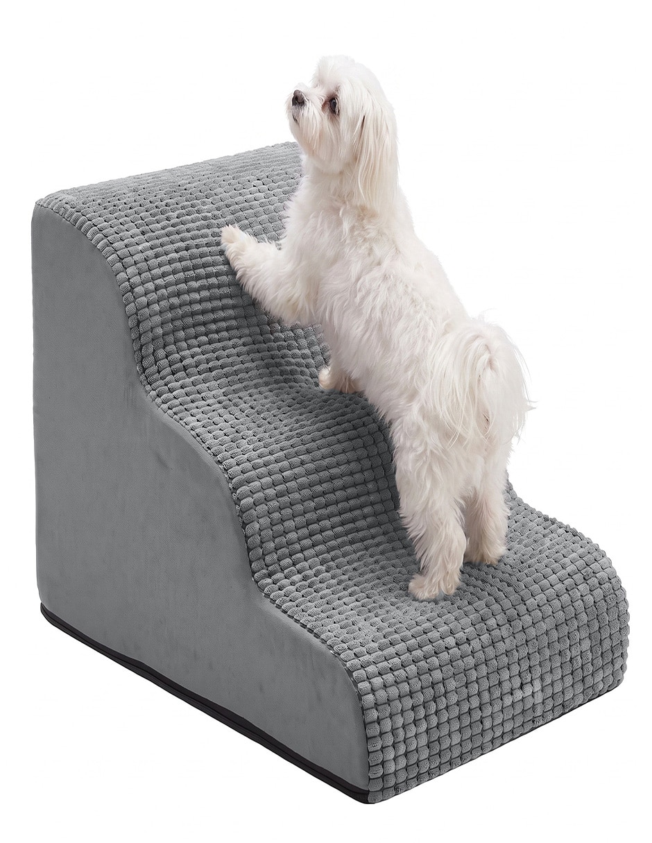 Rampa para mascota para Perro y gato 4