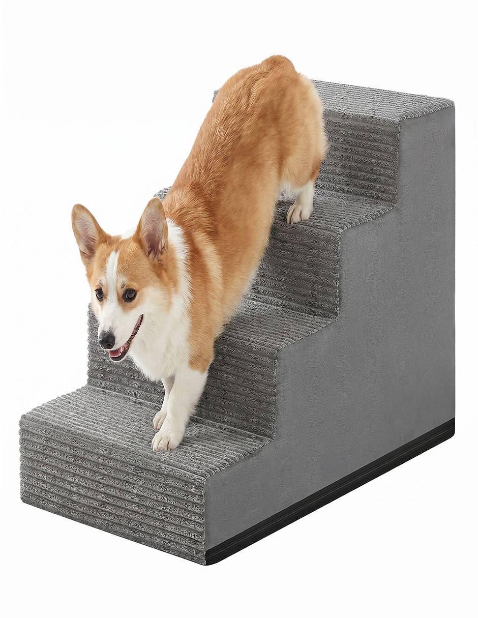 Rampa para mascota para Perro y gato 4