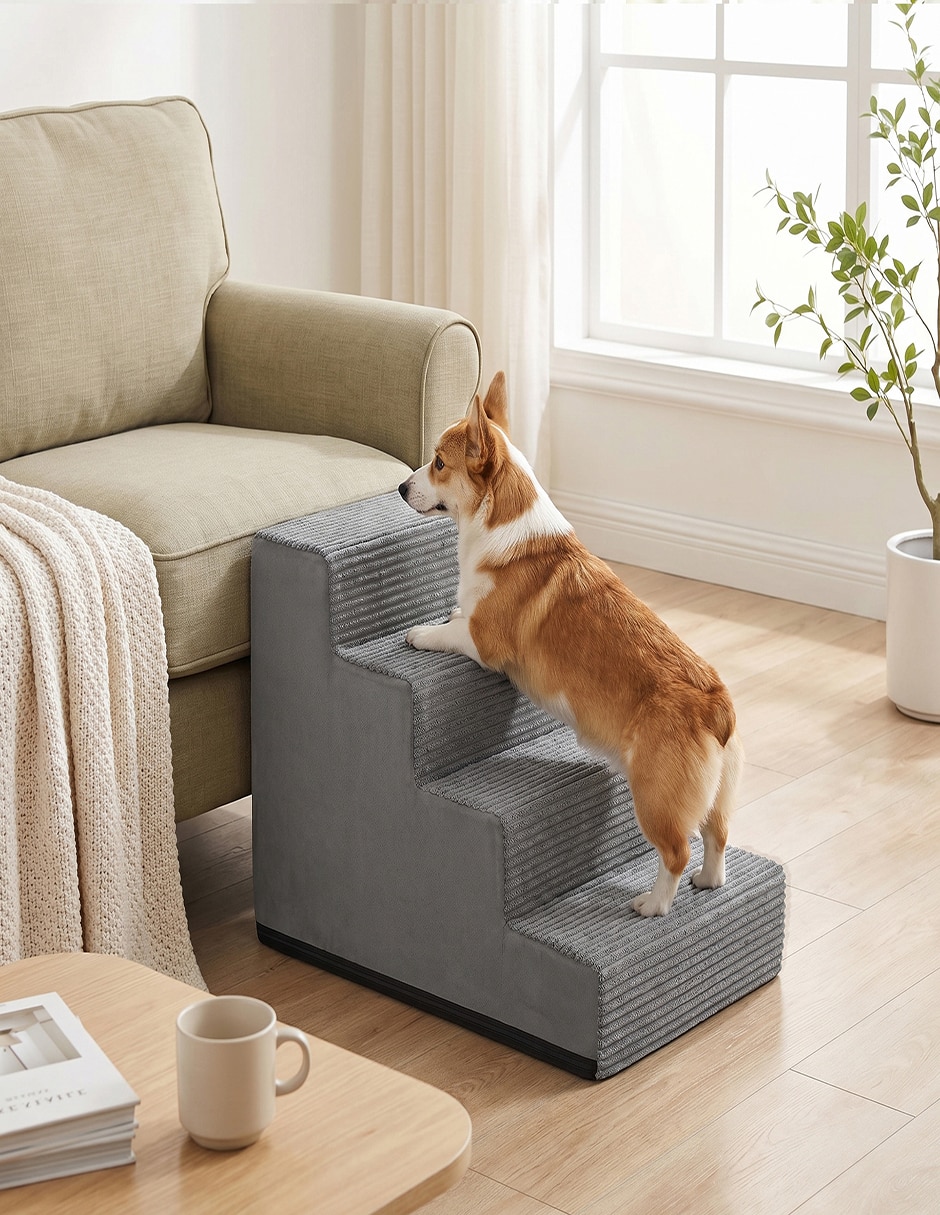Rampa para mascota para Perro y gato 5