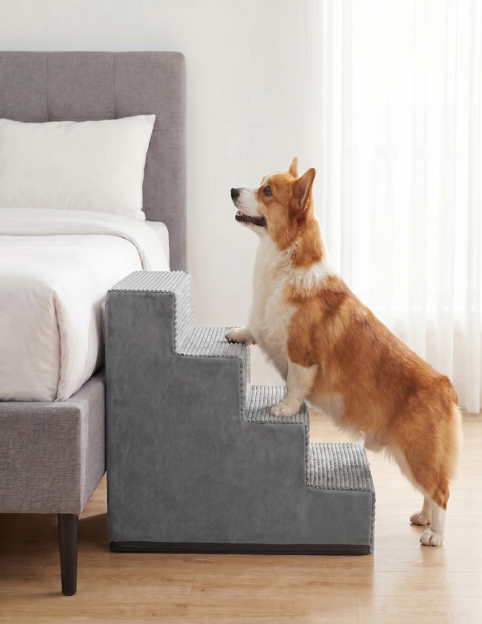 Rampa para mascota para Perro y gato 7