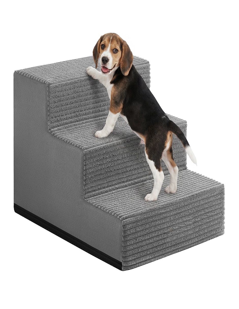 Rampa para mascota para Perro y gato 4