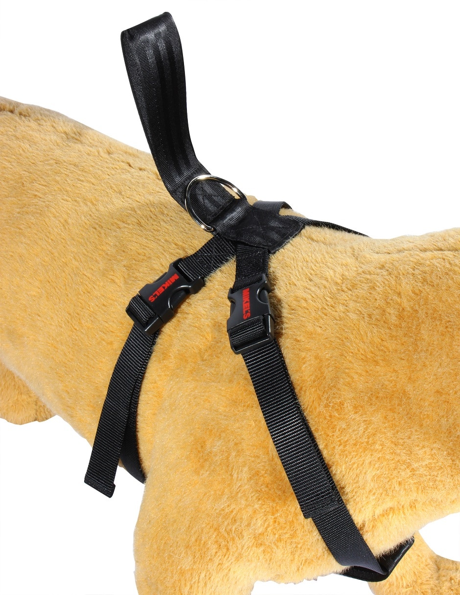 Pechera para perro 2