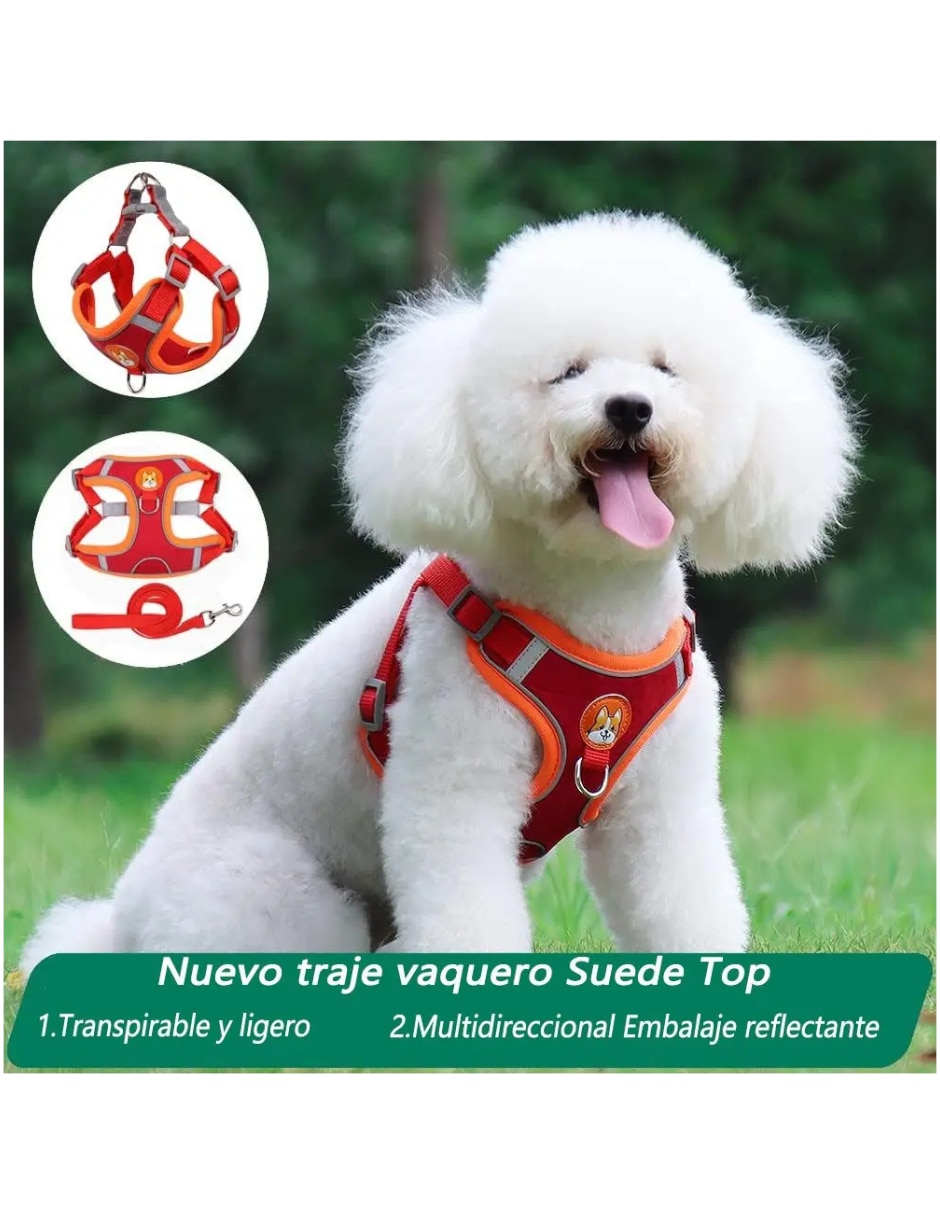 Arnés y correa para perro 4