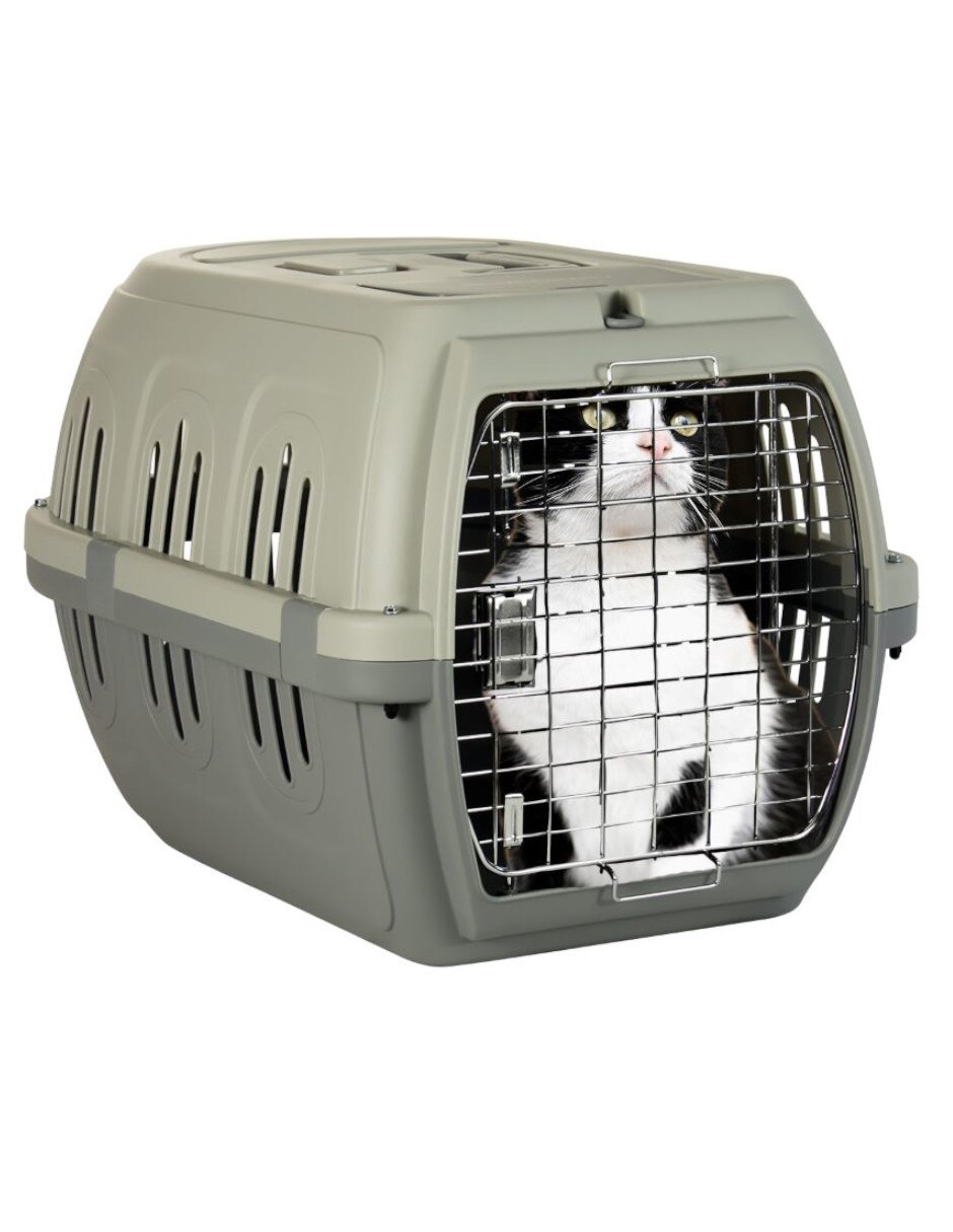 Transportadora para perro y gato de plástico 5