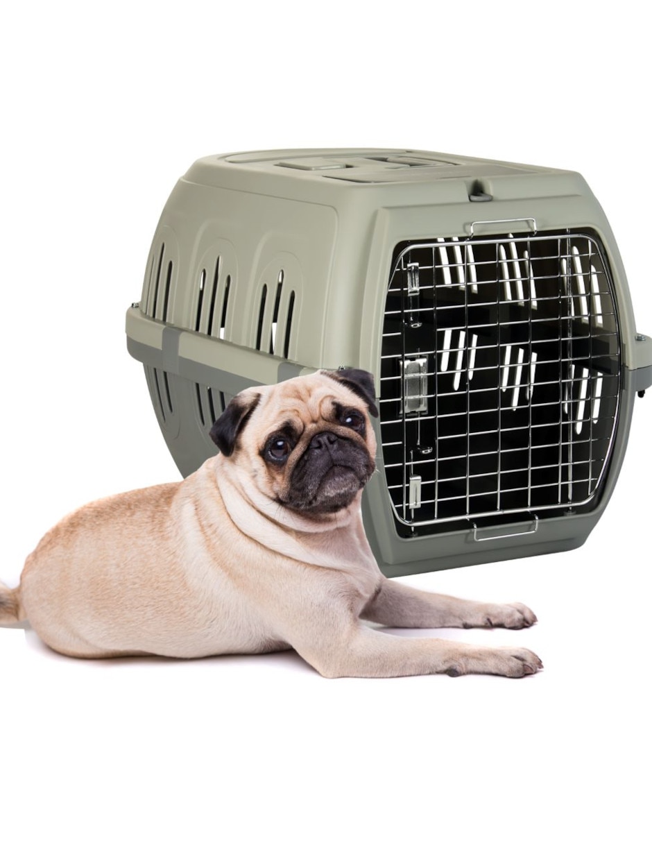 Transportadora para perro y gato de plástico 6