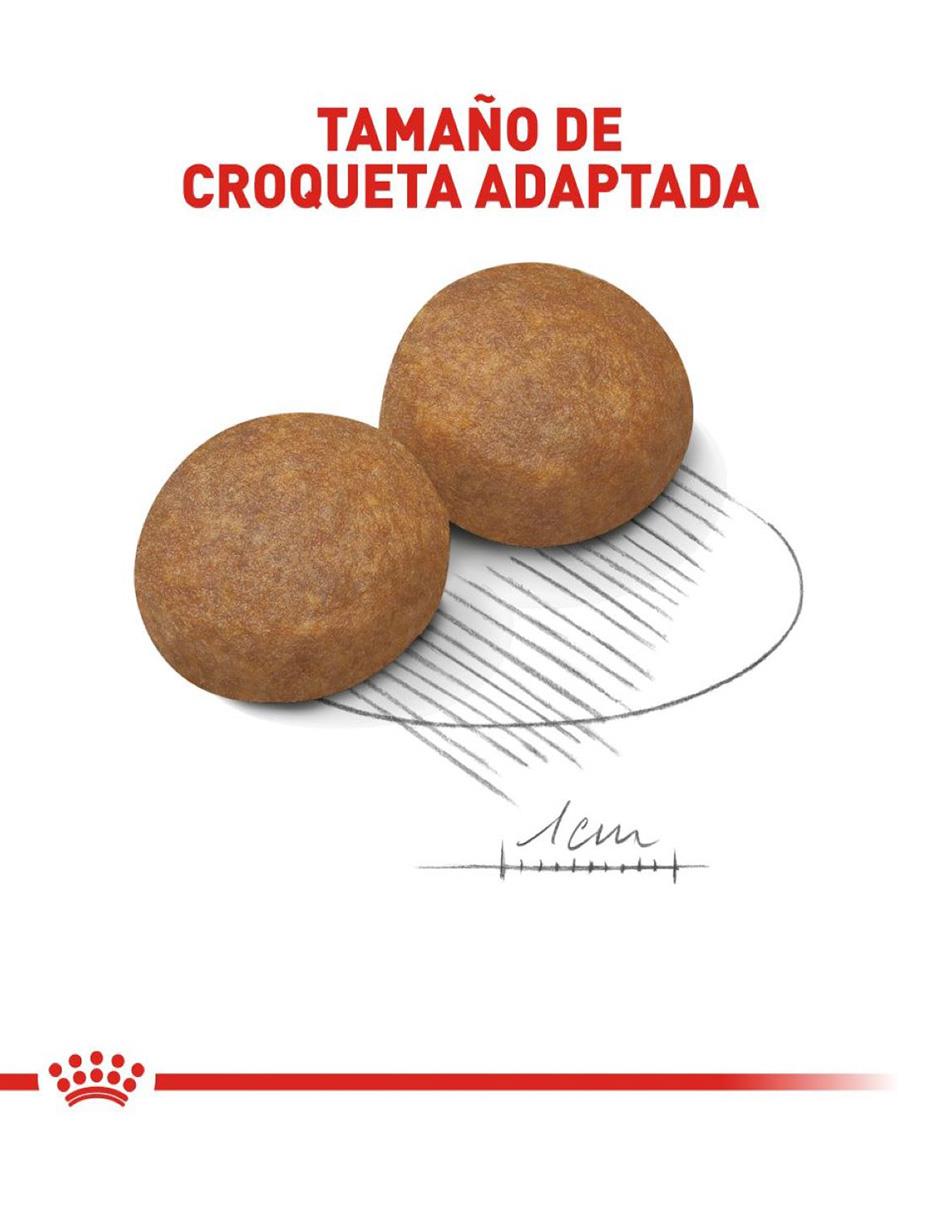 Croqueta Royal Canin de pollo para perro etapa adulto contenido individual 5