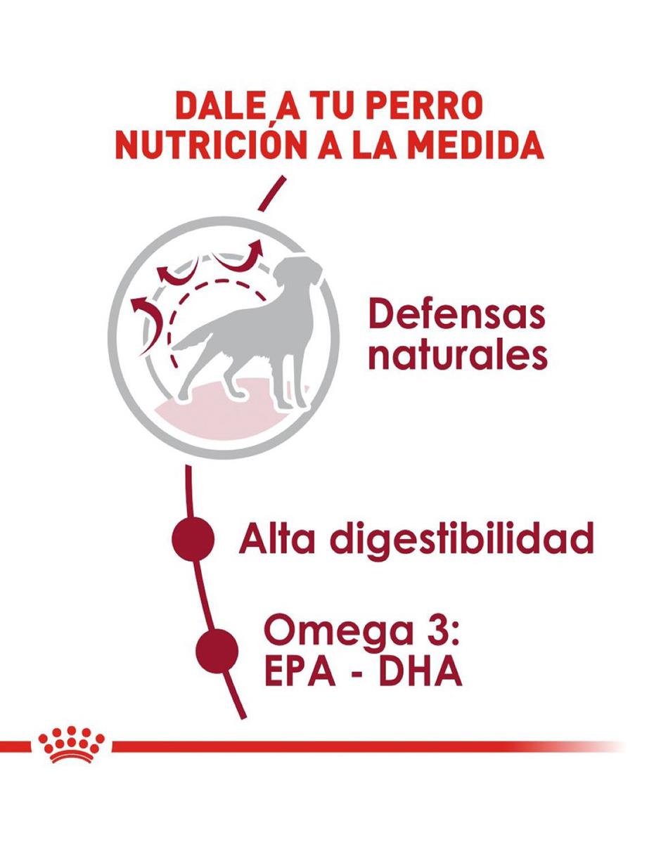 Croqueta Royal Canin de pollo para perro etapa adulto contenido individual