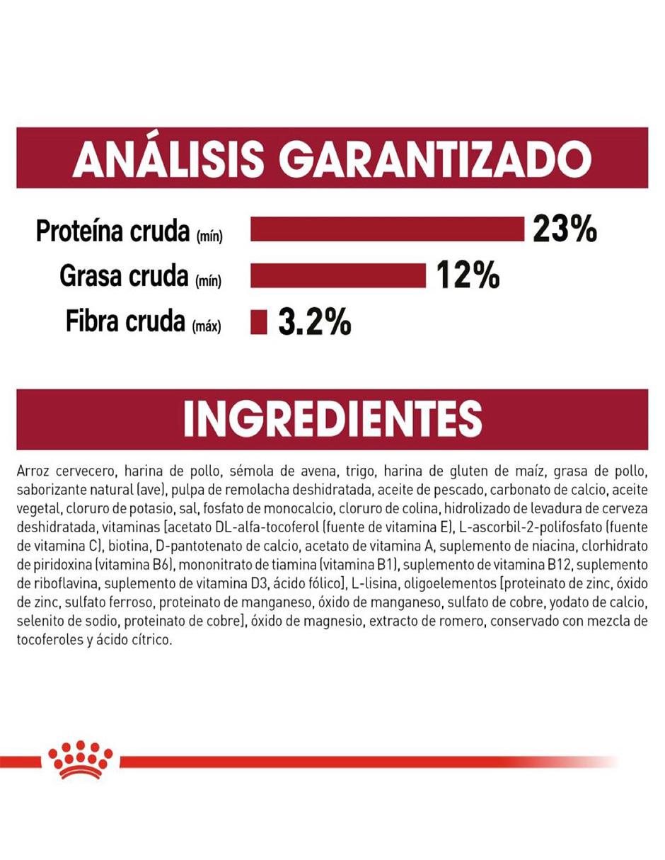Croqueta Royal Canin de pollo para perro etapa adulto contenido individual