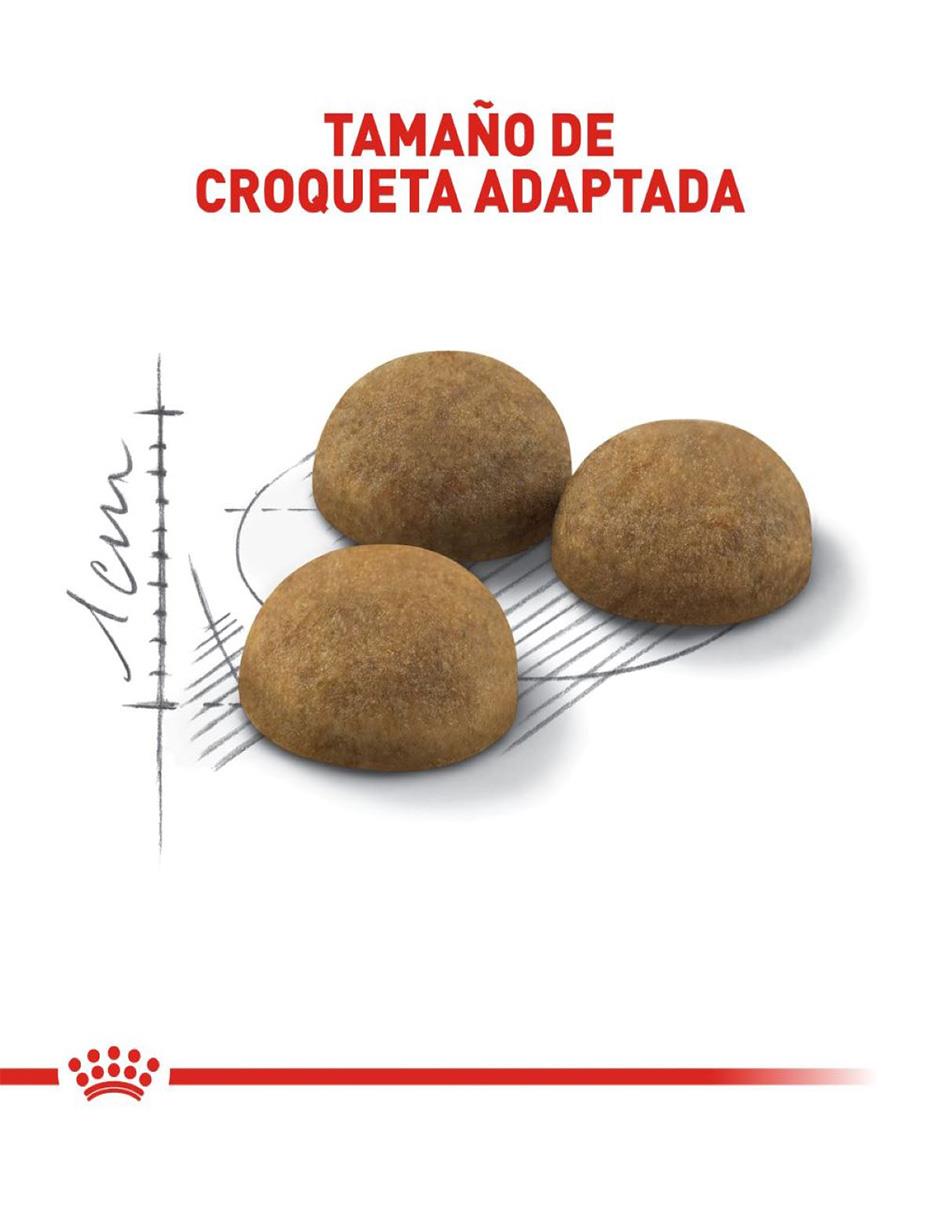 Croqueta Royal Canin de Pollo para Gato todas las etapas contenido 3 kg 3