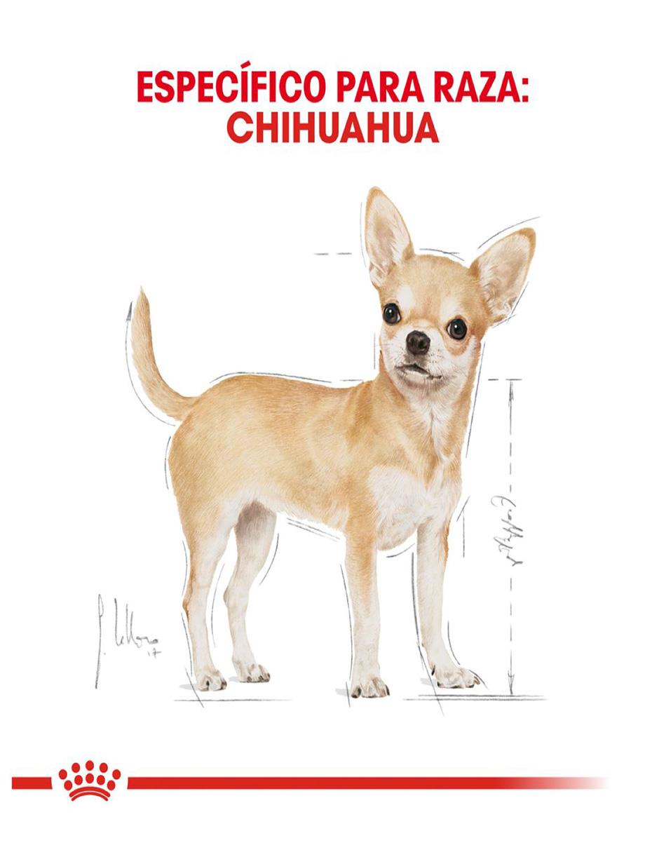 Croqueta Royal Canin de pollo para perro todas las etapas raza pequeña contenido 1 kg 5
