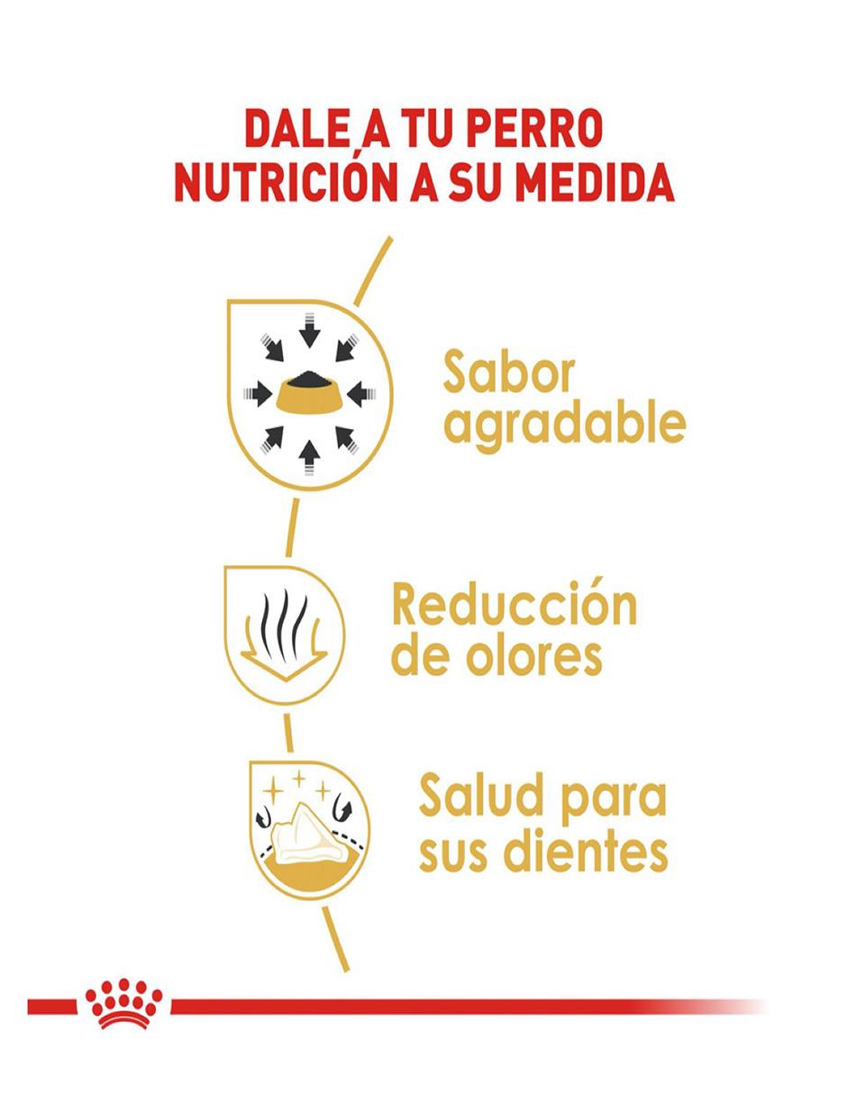 Croqueta Royal Canin de pollo para perro todas las etapas raza pequeña contenido 1 kg 3