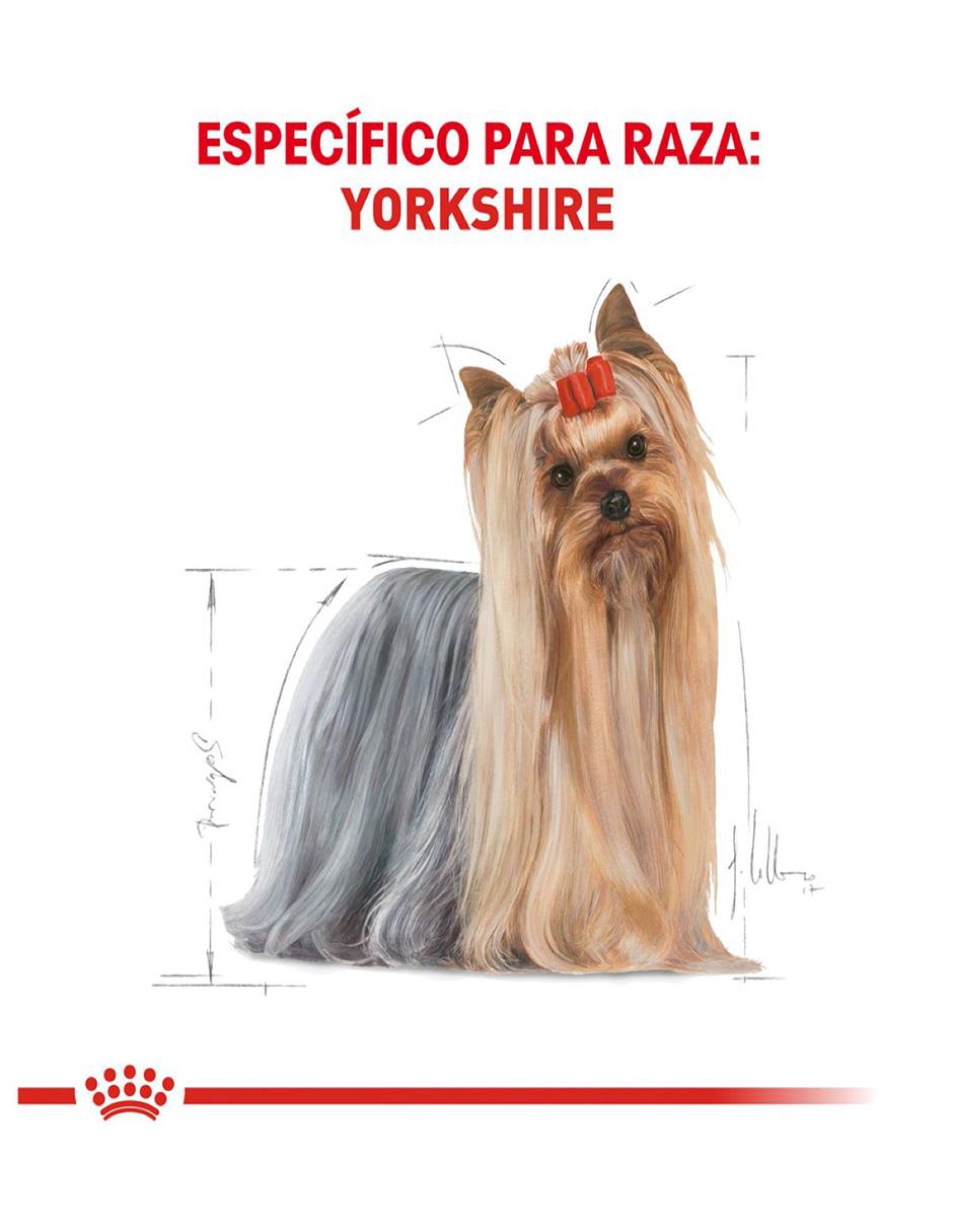 Croqueta Royal Canin de pollo para perro todas las etapas raza pequeña contenido 1 kg 5