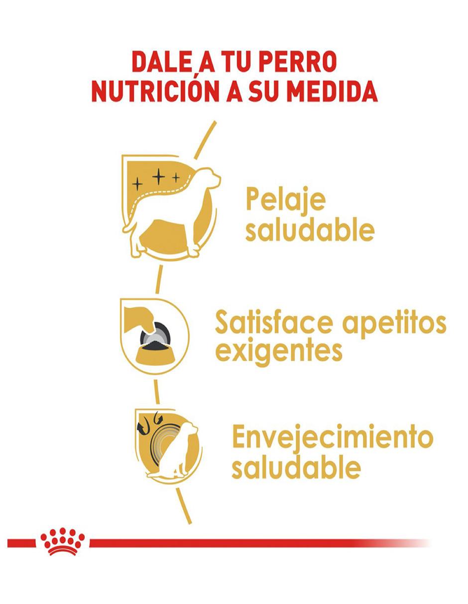Croqueta Royal Canin de pollo para perro todas las etapas raza pequeña contenido 1 kg 3