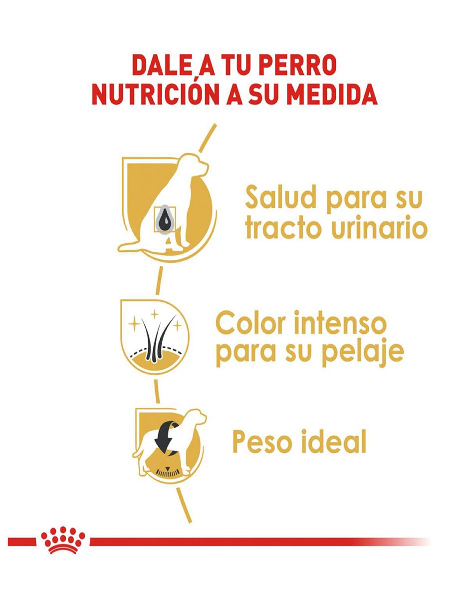 Croqueta Royal Canin de pollo para perro todas las etapas raza pequeña contenido 4.5 kg 2