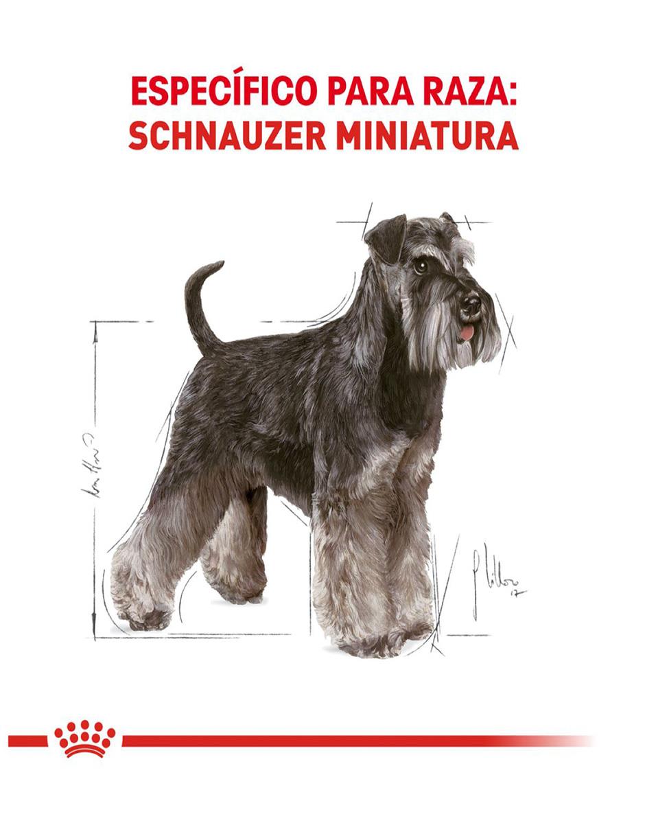 Croqueta Royal Canin de pollo para perro todas las etapas raza pequeña contenido 4.5 kg 6