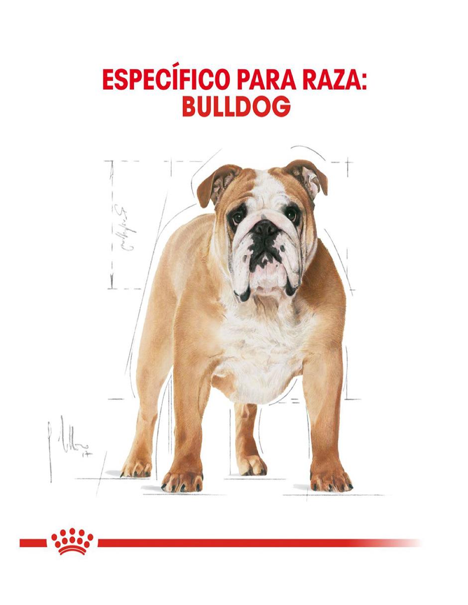 Croqueta Royal Canin de pollo para perro etapa adulto contenido 13.6 kg 5