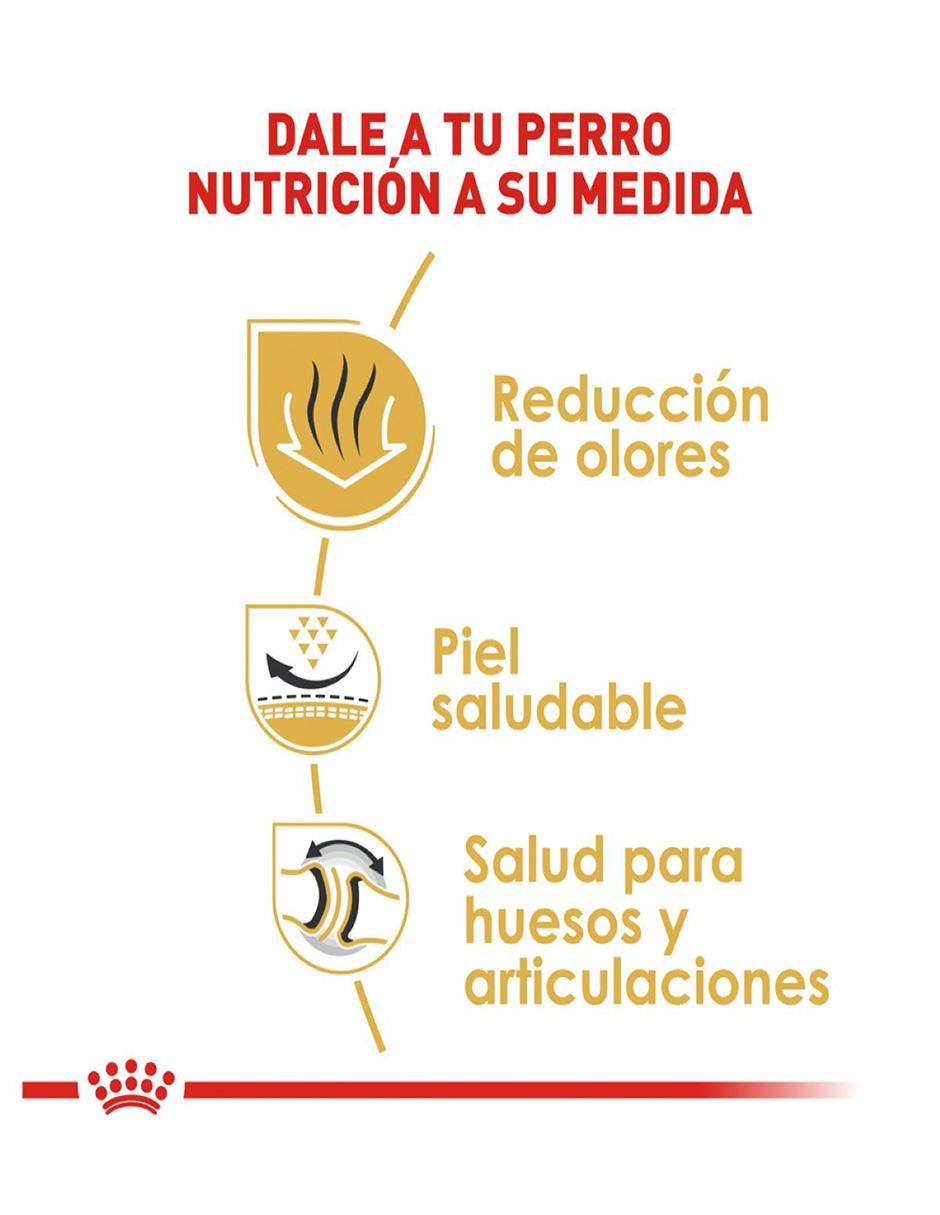 Croqueta Royal Canin de pollo para perro etapa adulto contenido 13.6 kg 3