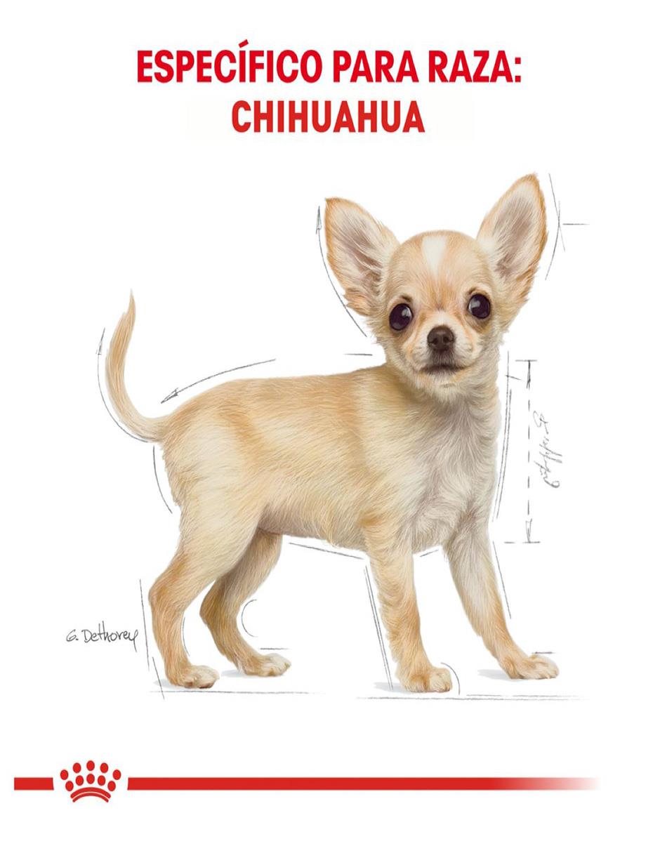 Croqueta Royal Canin de pollo para perro etapa cachorro raza pequeña contenido 1 kg 7