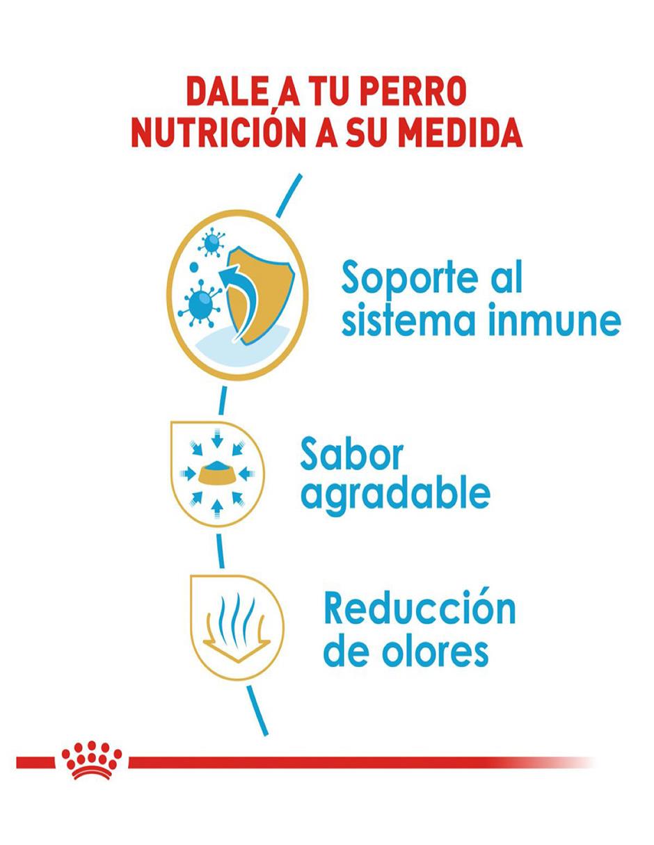 Croqueta Royal Canin de pollo para perro etapa cachorro raza pequeña contenido 1 kg 3